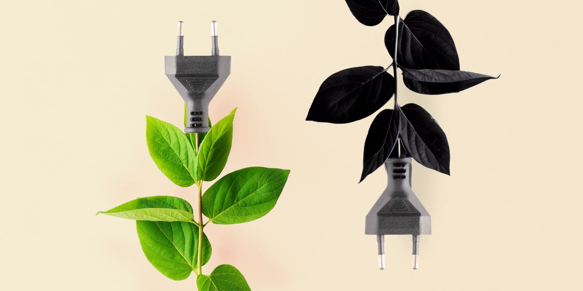 découvrez comment l'accumulation d'énergie durable révolutionne notre approche énergétique. explorez les solutions innovantes, les technologies émergentes et les stratégies pour un avenir écologique et durable.