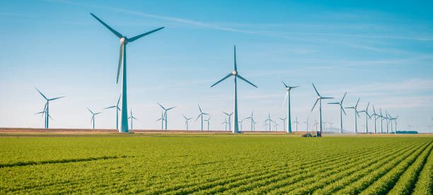 découvrez comment faire le meilleur choix en matière d'énergies renouvelables. explorez les différentes options disponibles, leurs avantages environnementaux et économiques, et engagez-vous vers un avenir plus durable.