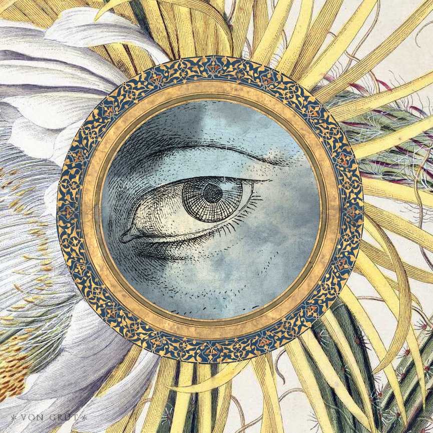 découvrez la révolution solaire en france : initiatives, technologies et enjeux environnementaux pour une transition énergétique durable et respectueuse de notre planète.