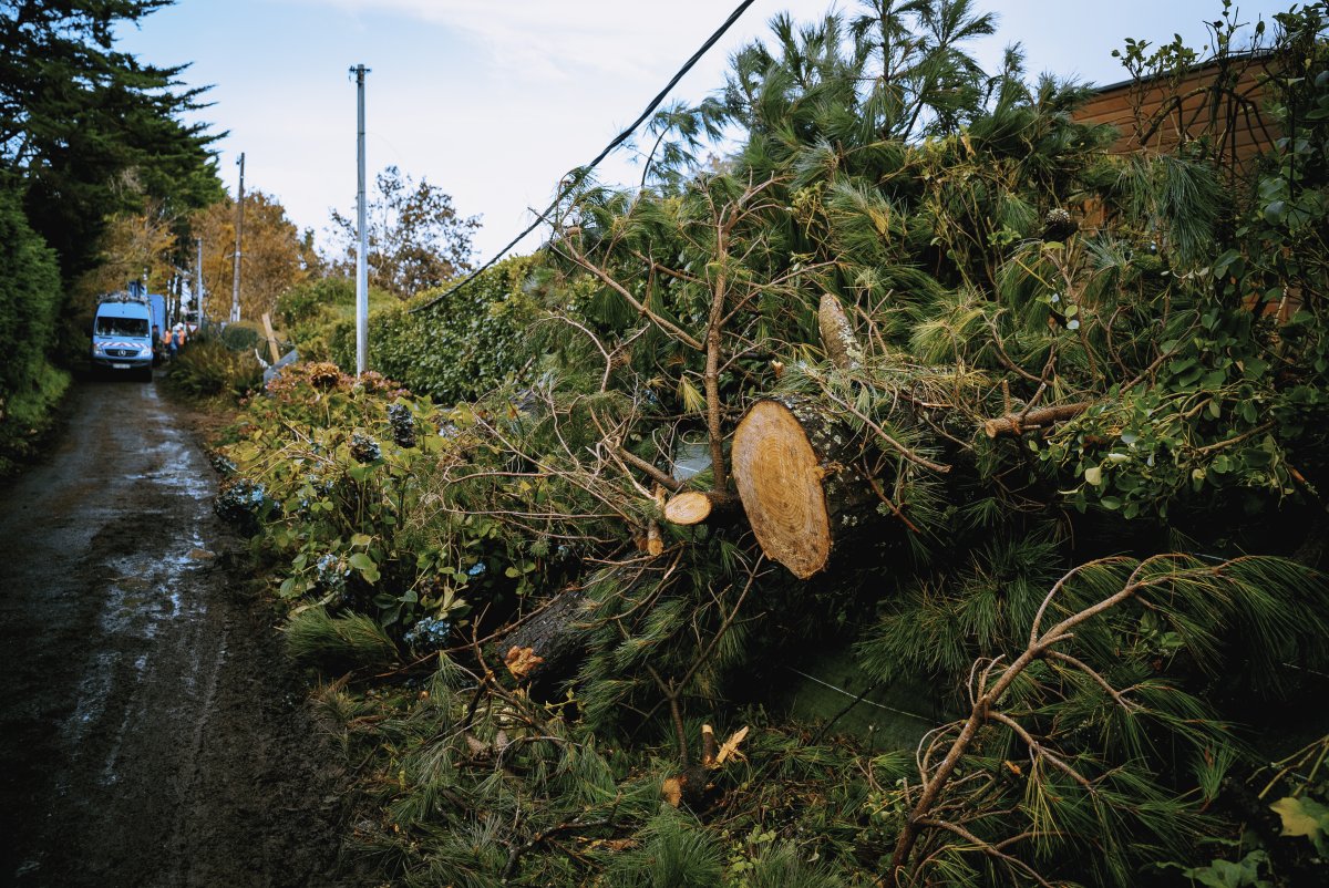 découvrez les aides proposées par enedis en 2025 pour faciliter votre transition énergétique. profitez d'informations claires sur les subventions, les aides financières et les services d'accompagnement disponibles pour les particuliers et les entreprises.