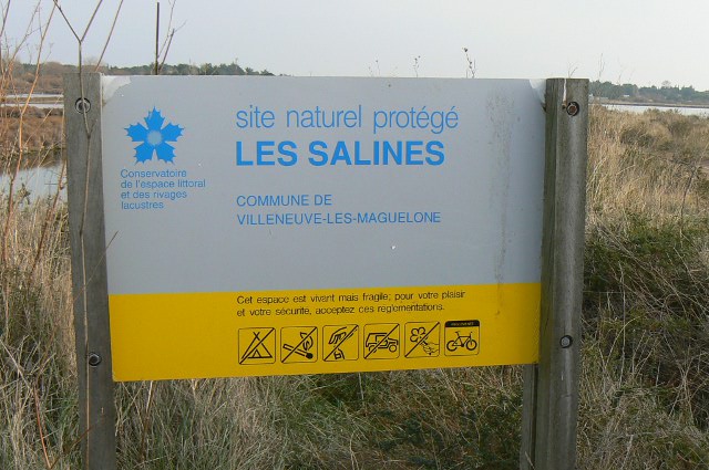 découvrez les enjeux et les solutions pour la protection des rivages, un aspect essentiel de la conservation de nos écosystèmes côtiers et de la lutte contre l'érosion marine.