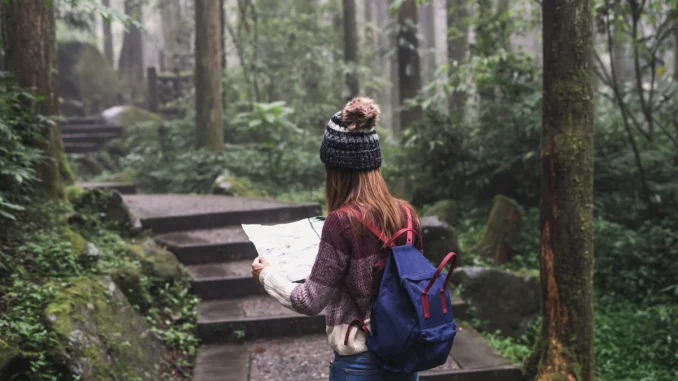 découvrez l'importance de l'éducation sociétale, un voyage qui explore comment elle façonne nos valeurs, notre compréhension des enjeux sociaux et notre capacité à contribuer positivement à la communauté.