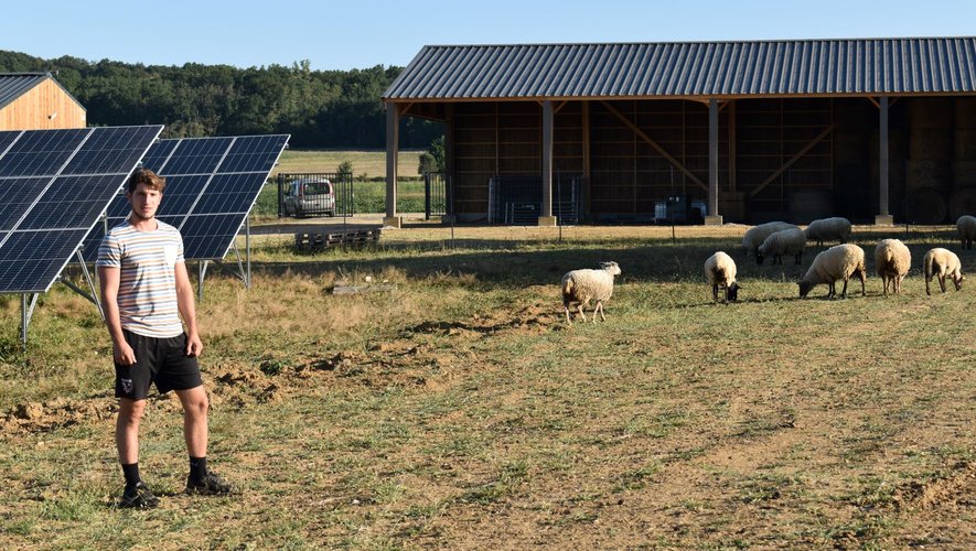 agri-solaire-5 agriculture sous panneau solaire