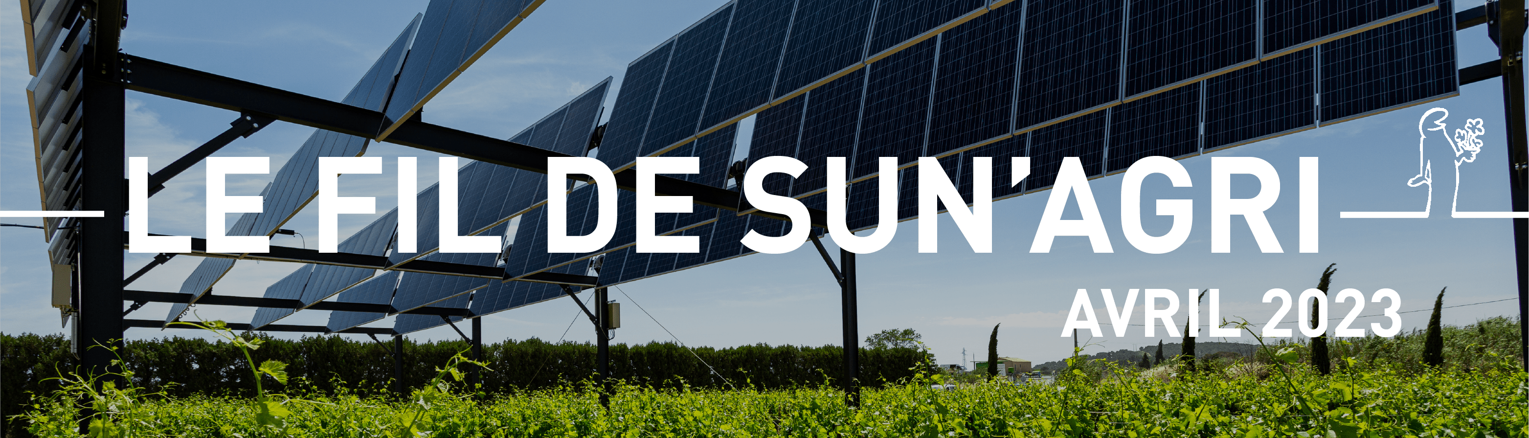 agri-solaire agriculture sous panneau solaire