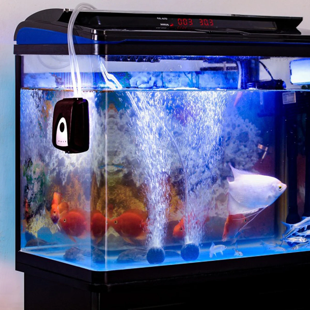 aquarium-solaire-1 aquarium panneau solaire