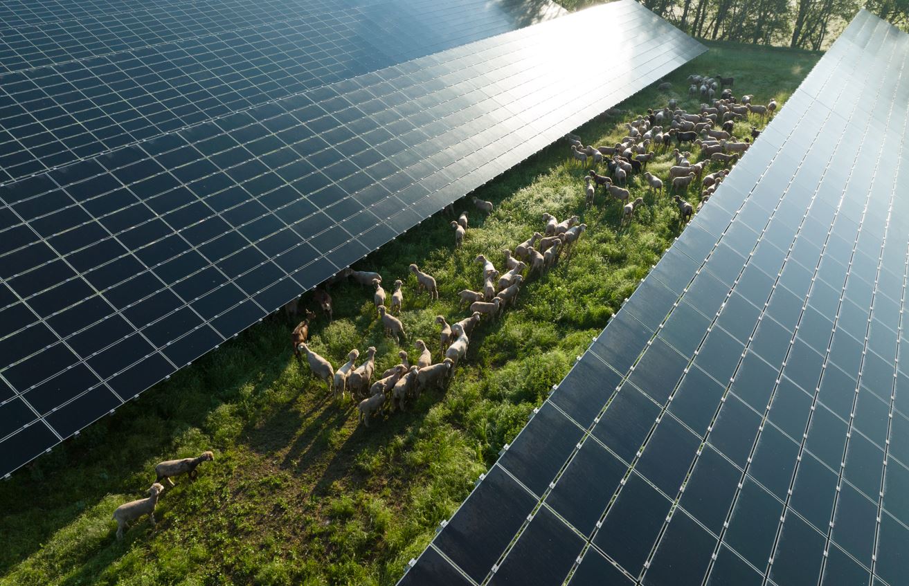 avantages-edf-ajaccio-2 Découvrez les avantages d'EDF à Ajaccio pour votre énergie