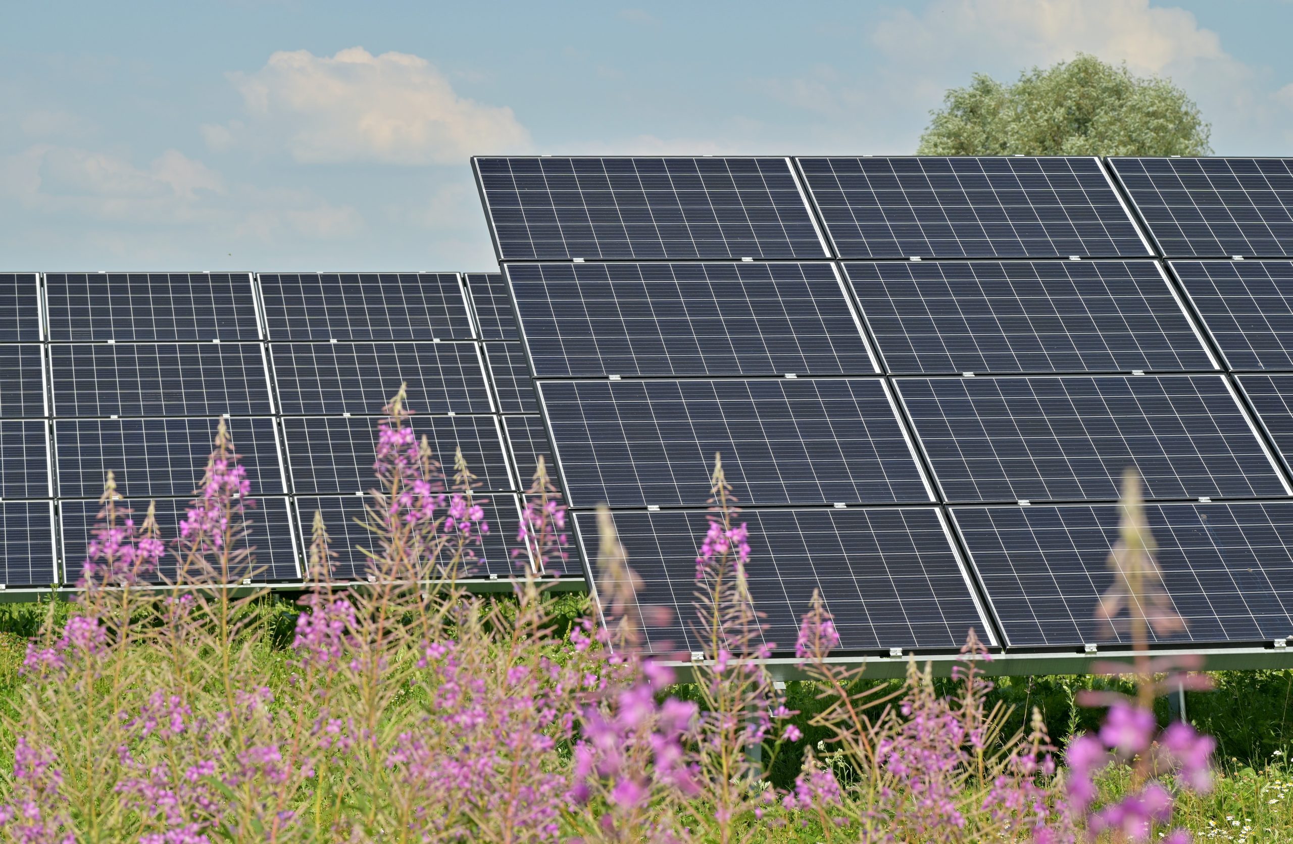avantages-panneaux-solaires-au-sol-2 Découvrez les avantages des nouveaux panneaux solaires photovoltaïques au sol
