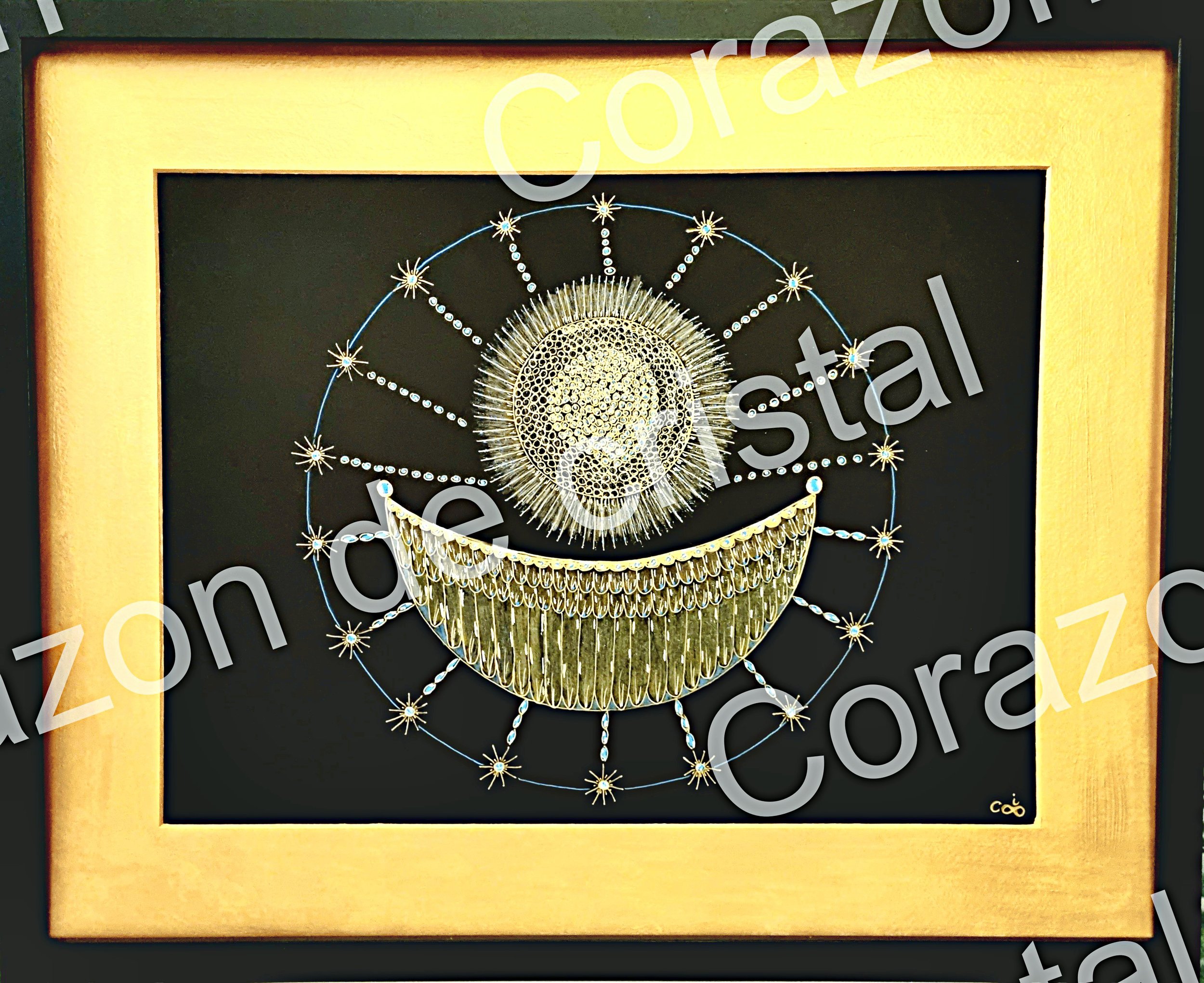 barque-solaire-2 barque panneau solaire