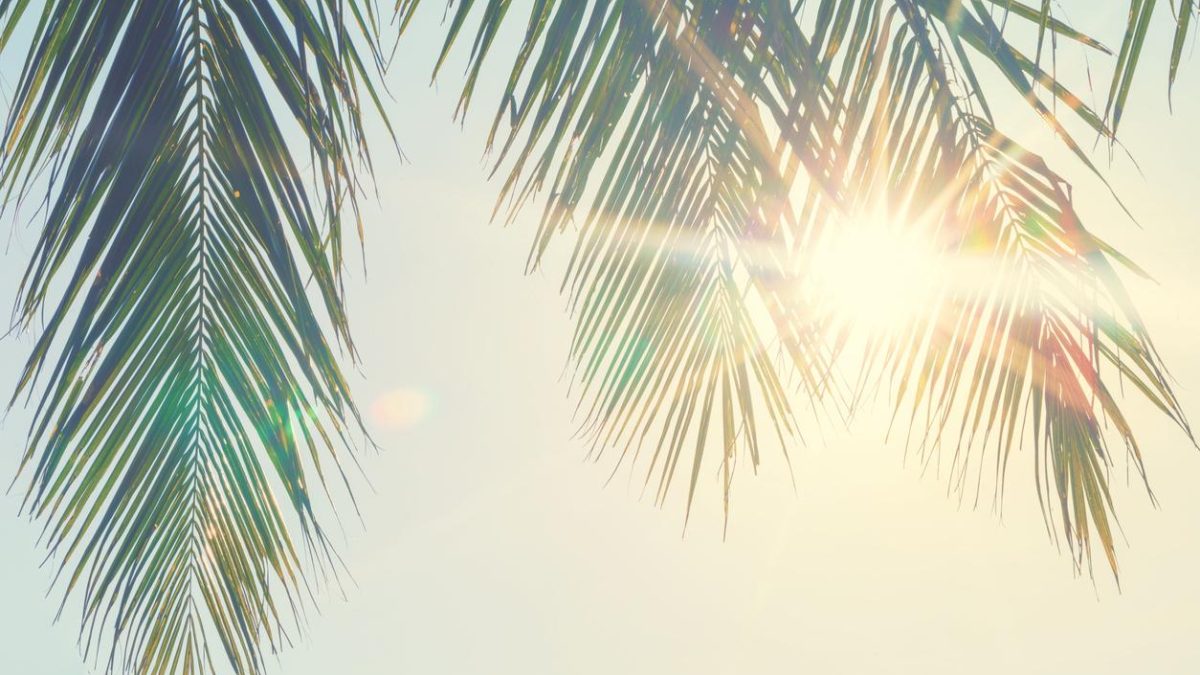 bienfaits-du-soleil-3 Comparatif des bienfaits du soleil en main