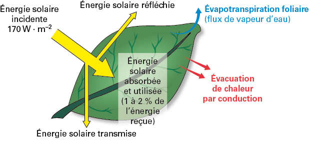 bilan-energetique-solaire Bilan énergétique des installations solaires : un pas vers l'avenir