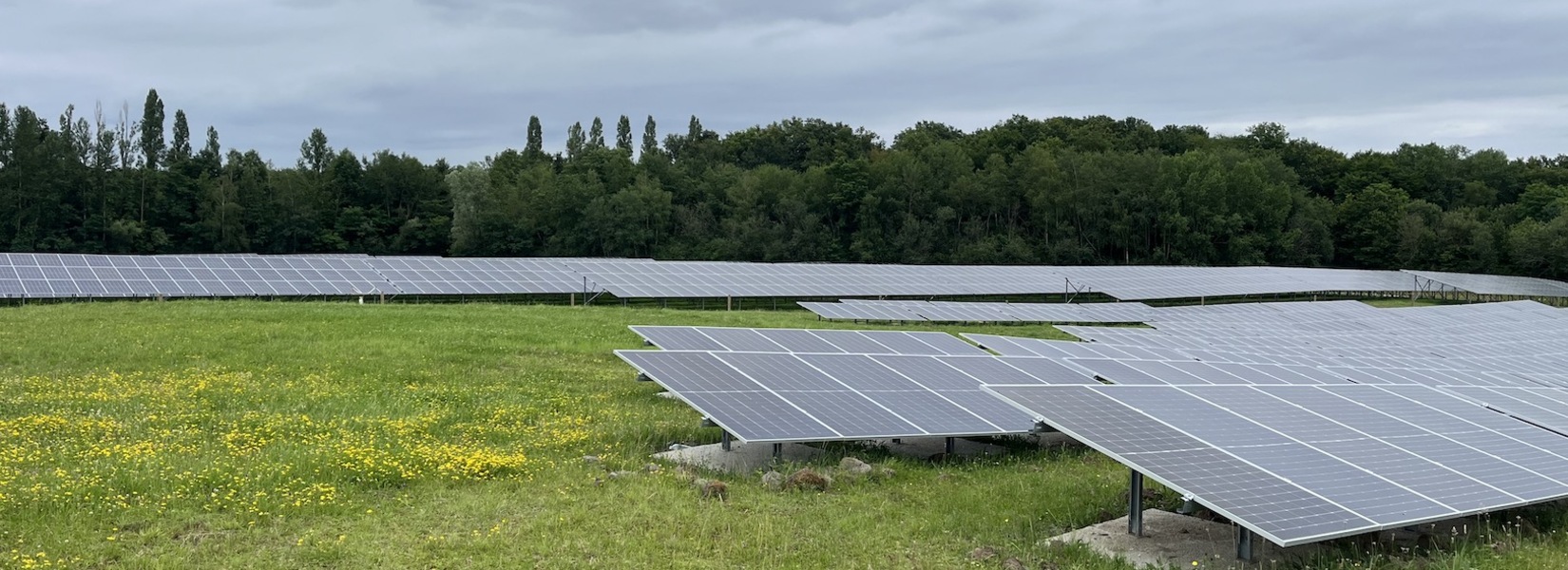 découvrez le champ solaire, une immense étendue dédiée à la production d'énergie renouvelable grâce à l'énergie solaire. apprenez comment cette technologie contribue à la transition énergétique tout en préservant notre environnement.