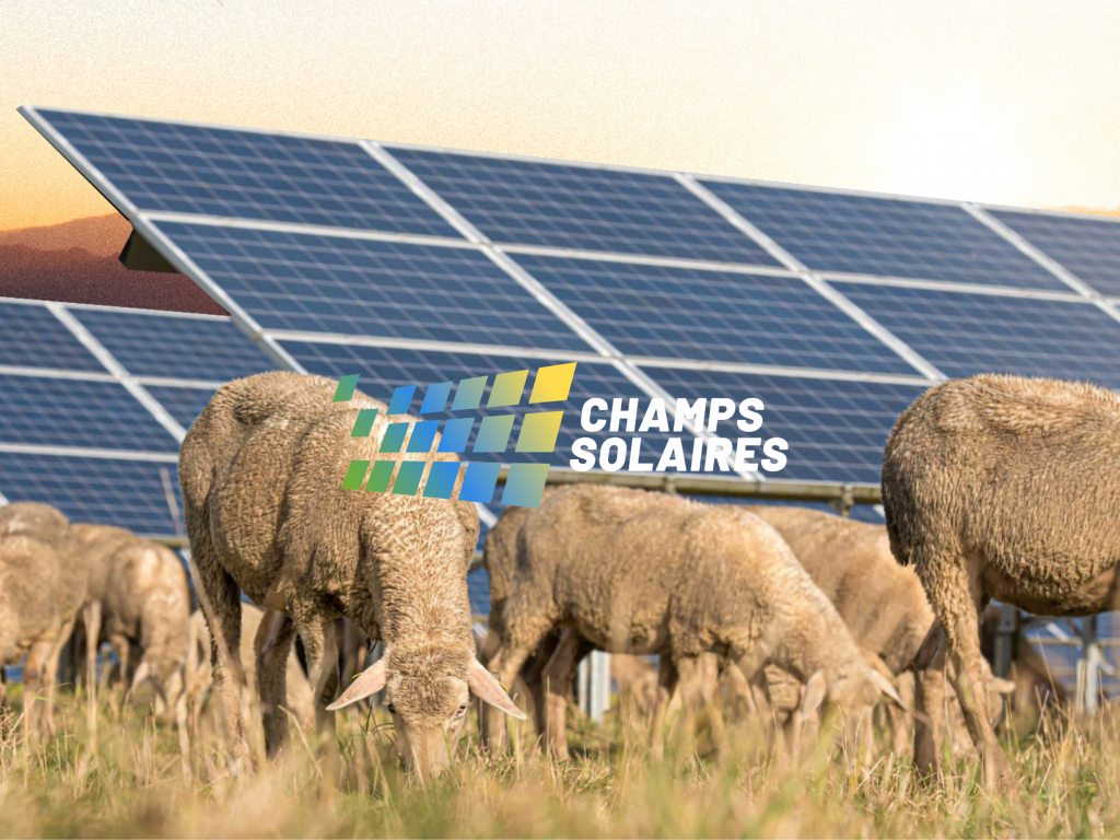 champs-solaires panneau solaire champs