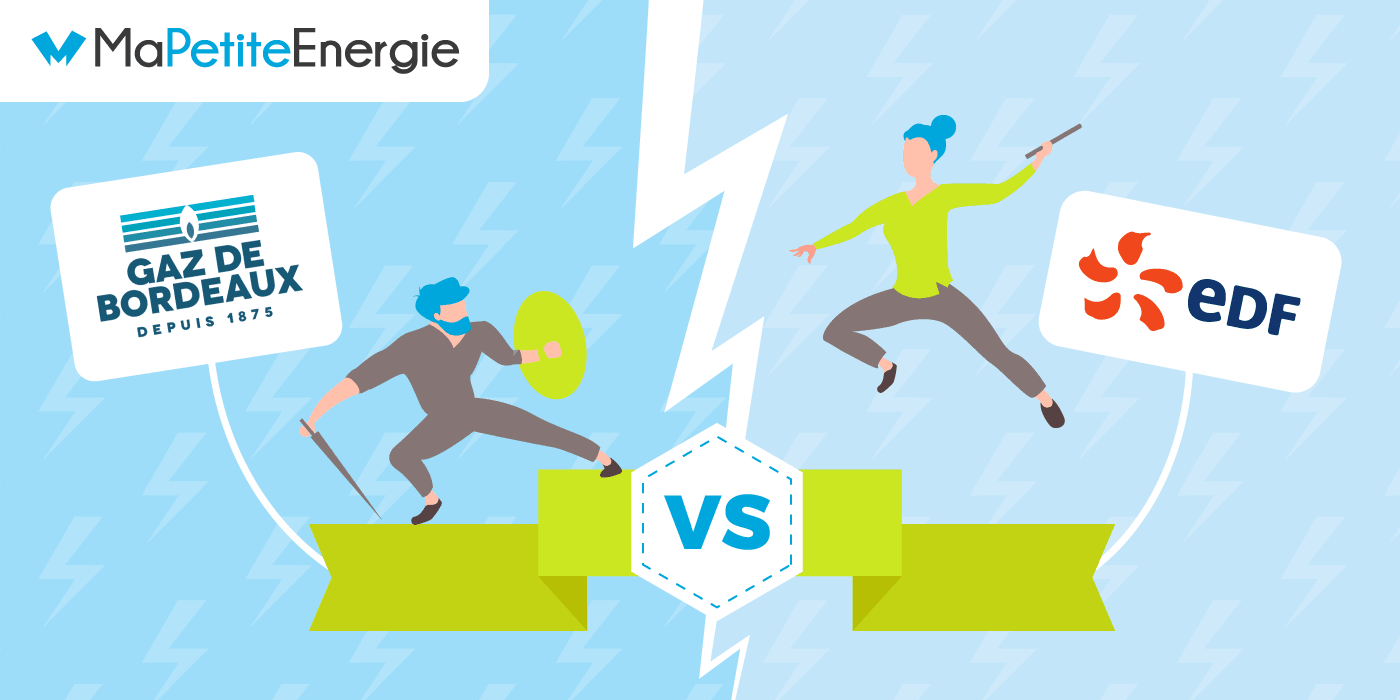 choisir-edf Pourquoi choisir EDF pour vos besoins énergétiques en France