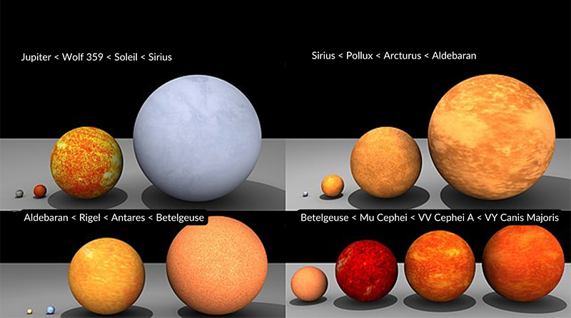 comparatif-soleil-dor Comparatif des différentes variétés de Soleil d'Or