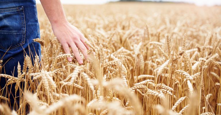 cooperation-agriculture-durable-1 Solaarcoop : la coopération au service de l'agriculture durable