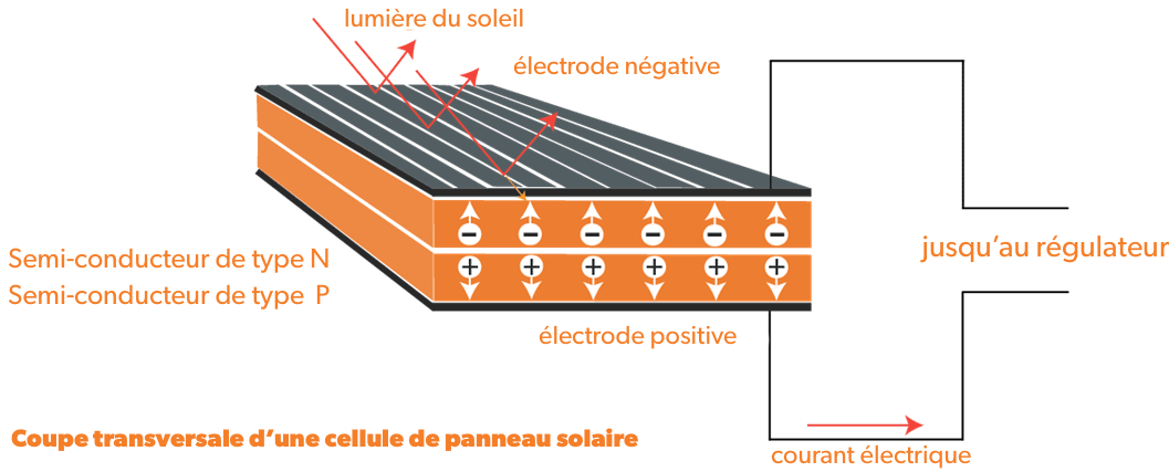 coupe-panneau-solaire coupe panneau solaire thermique