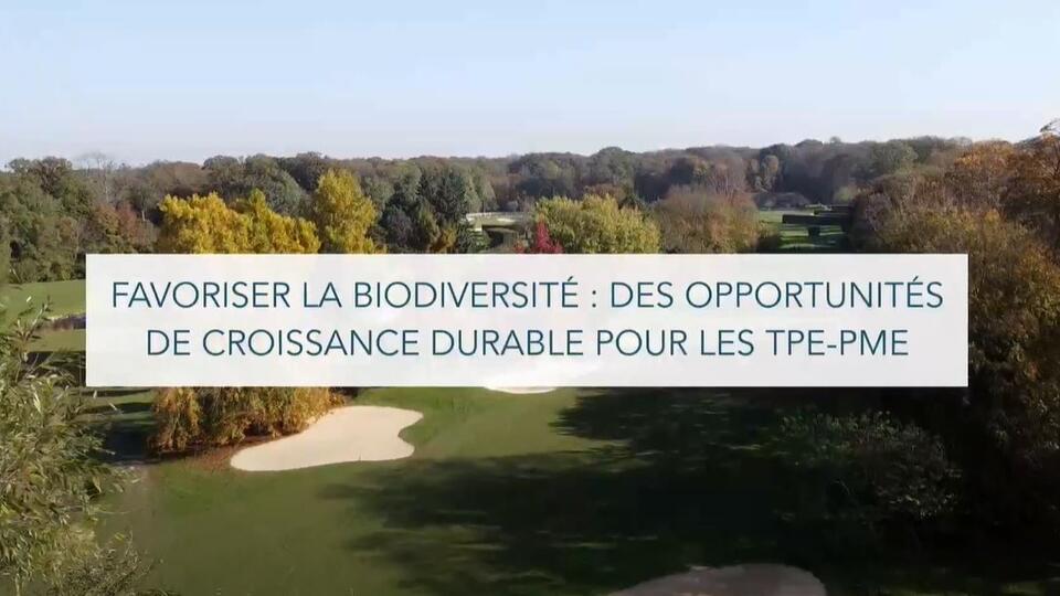croissance-durable-3 Croissance verte : vers un avenir durable et responsable