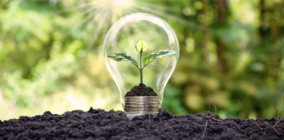 energies-renouvelables-5 Des solutions énergétiques renouvelables pour un avenir durable