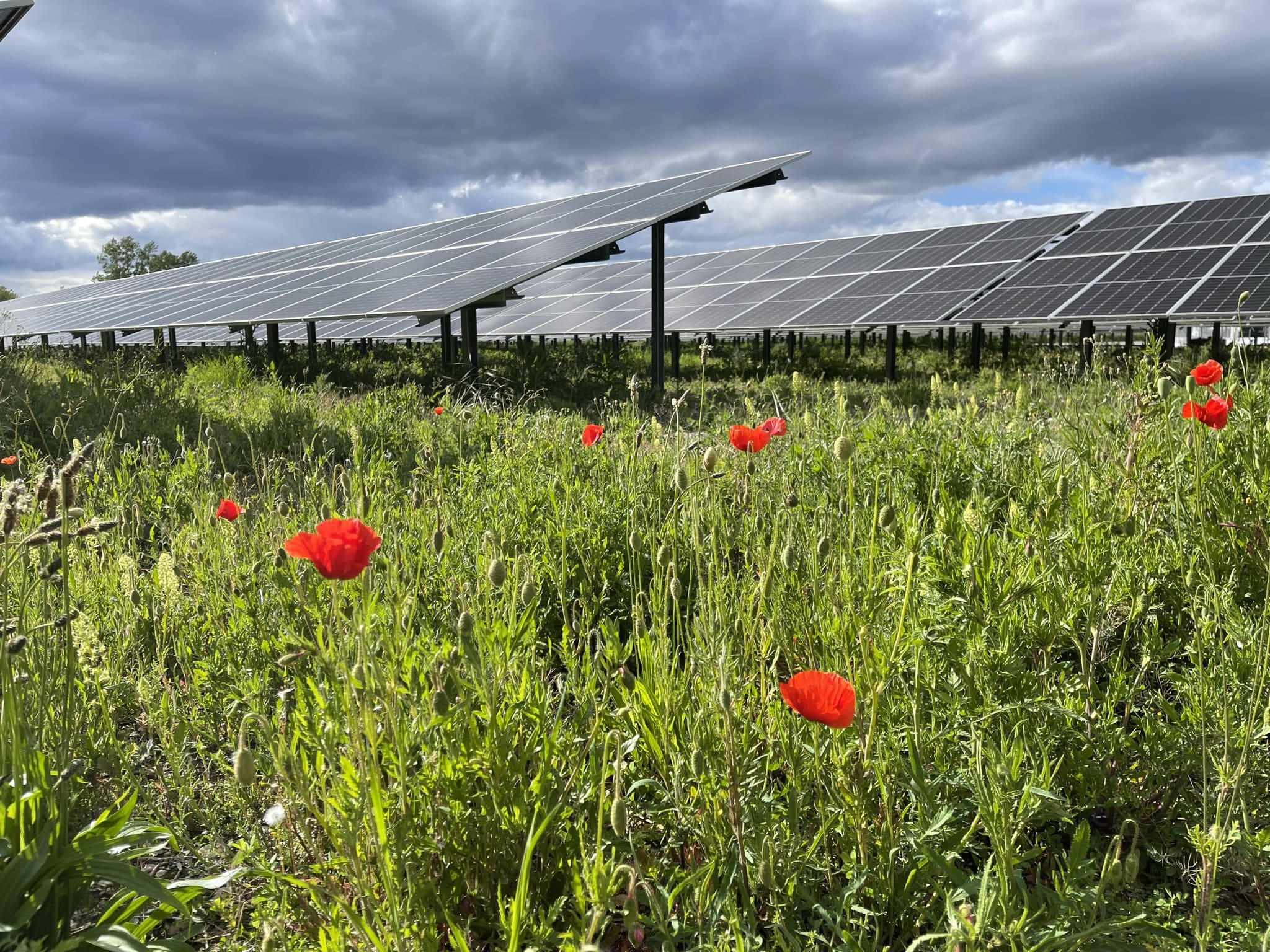 ferme-solaire-3 ferme panneau solaire