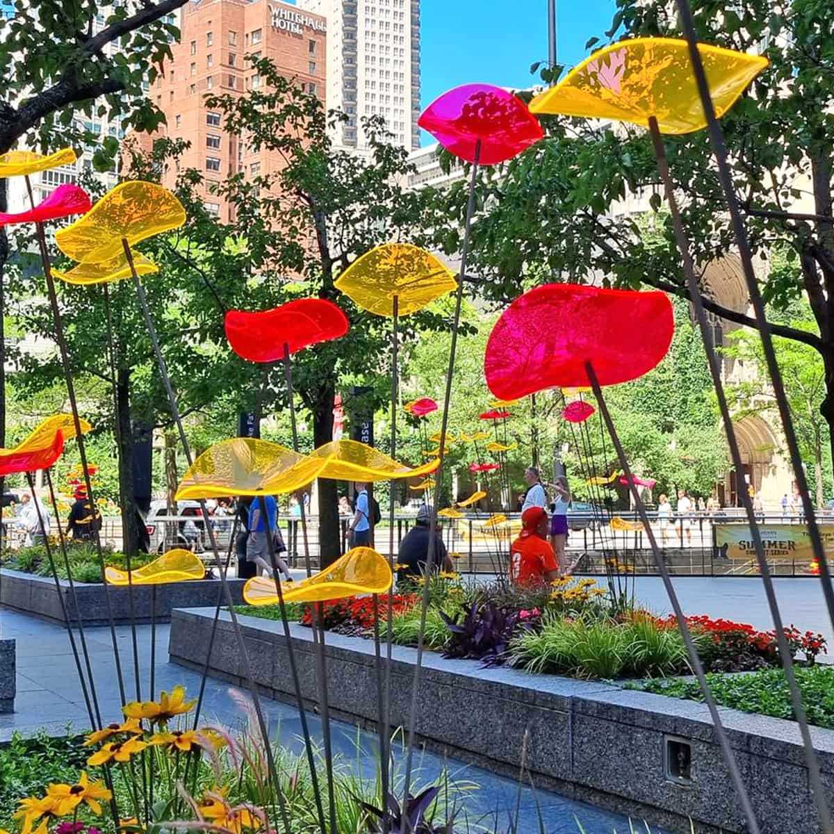 fleurs-solaires panneaux solaires fleurs