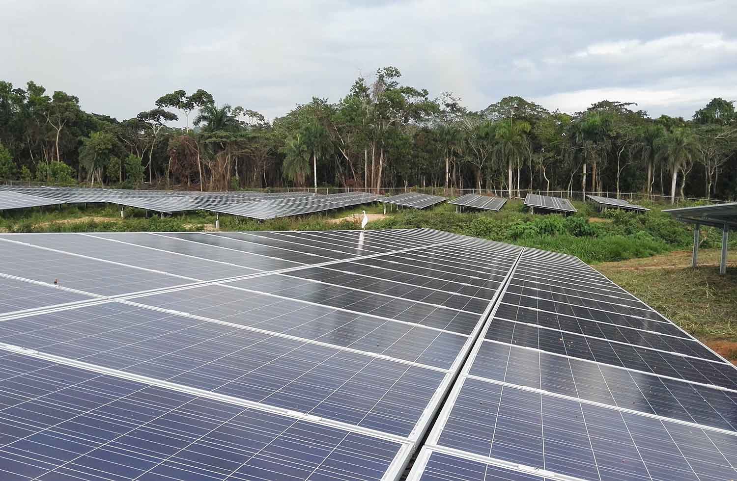 impact-educatif-solaire L'impact éducatif du solaire sur les générations futures