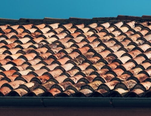 meilleures-marques-panneaux-solaires-7 meilleur marque de panneau solaire