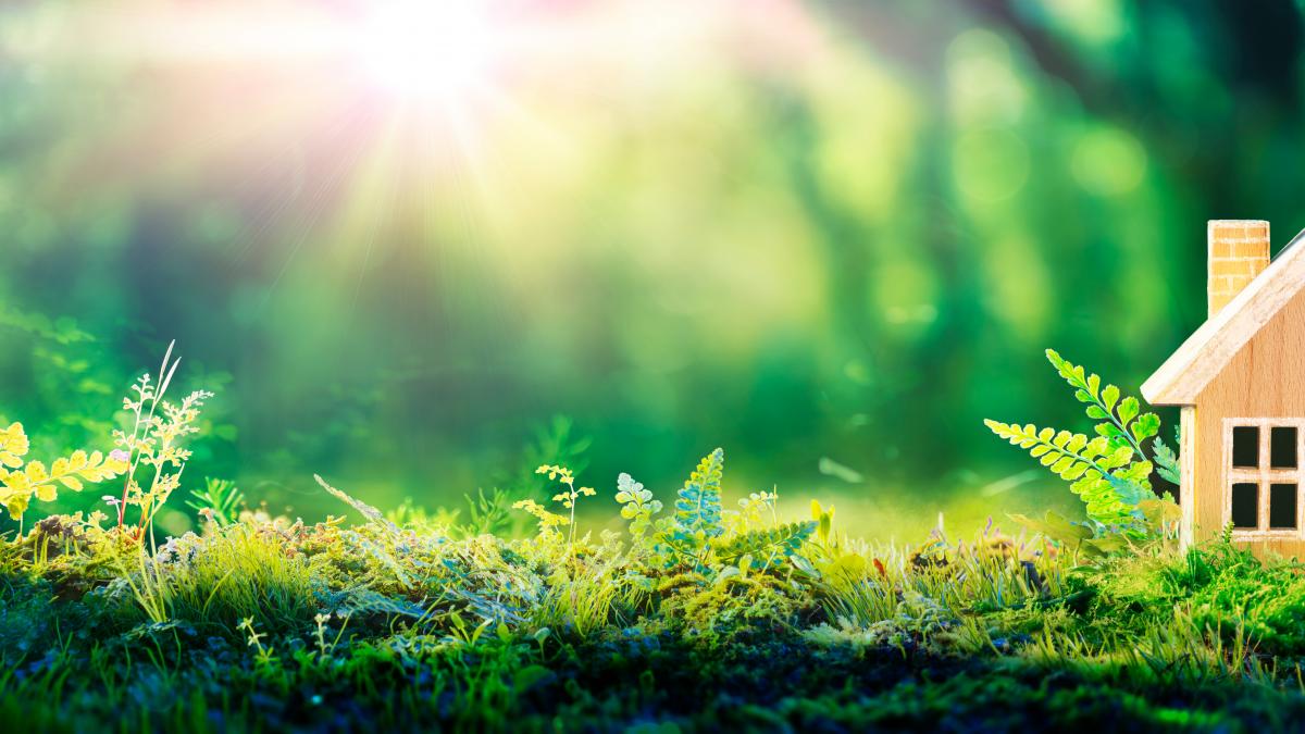 mode-de-vie-ecoresponsable Solutions durables : comment adopter un mode de vie écoresponsable