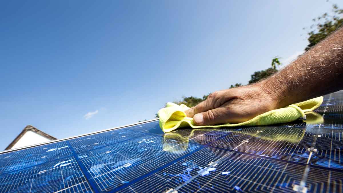 assurez l'efficacité de vos panneaux solaires avec notre service de nettoyage professionnel. prolongez leur durée de vie et maximisez leur performance grâce à des techniques spécialisées et respectueuses de l'environnement. contactez-nous dès aujourd'hui pour un devis personnalisé.