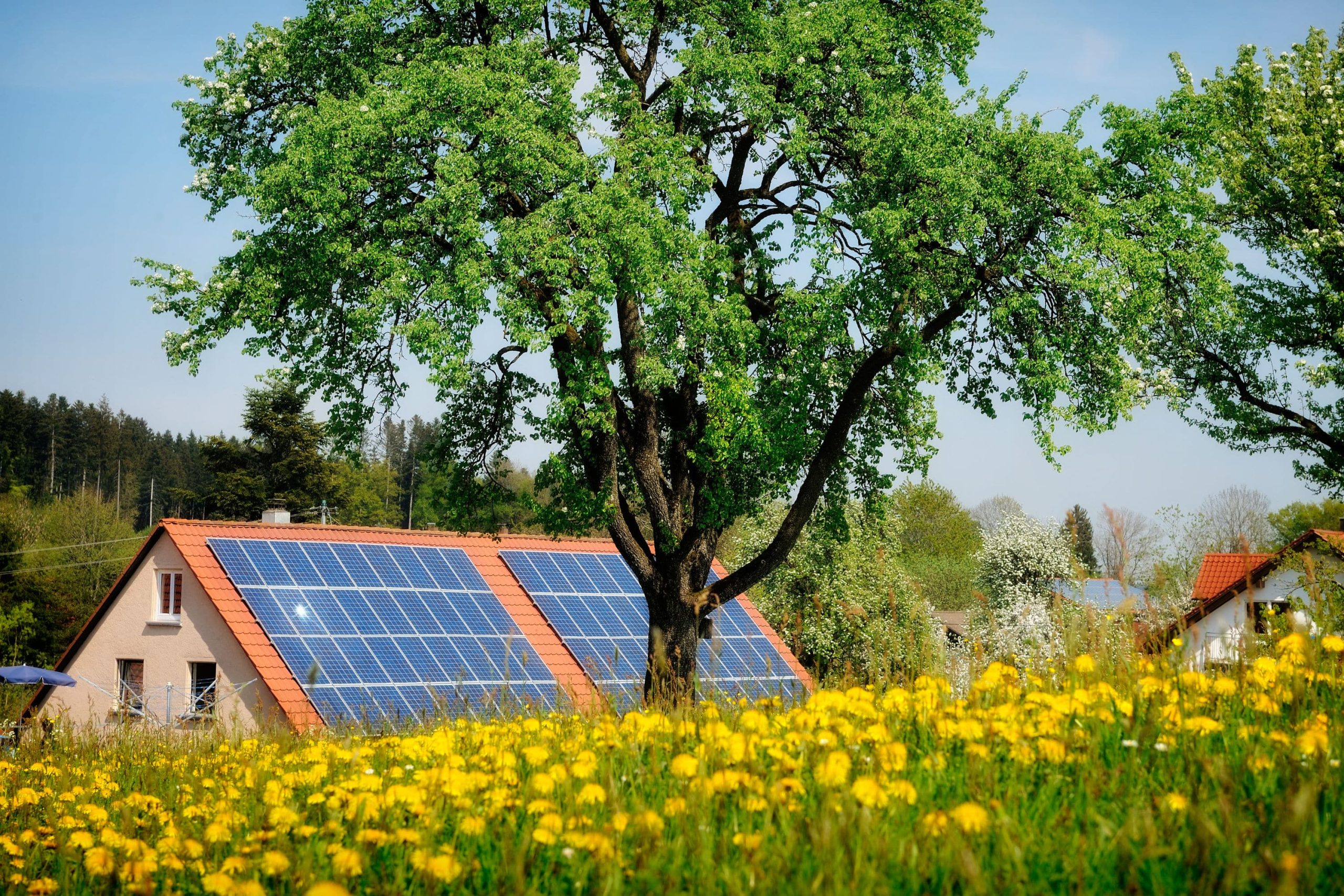 découvrez comment l'ombrage des panneaux photovoltaïques peut affecter leur performance et comment optimiser leur disposition pour maximiser la production d'énergie solaire. informez-vous sur les solutions pour réduire l'impact de l'ombre et garantir un rendement optimal.
