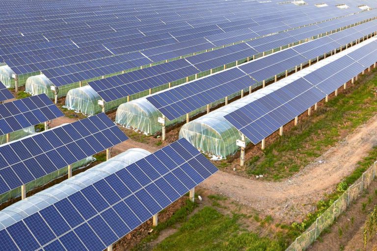 optimisation-panneaux-solaires-31 Comment optimiser votre parcelle avec des panneaux solaires photovoltaïques