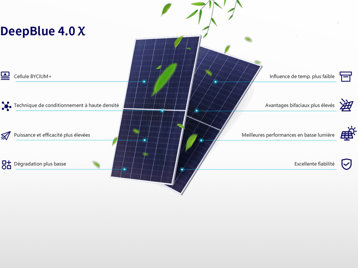 panneau-bifacial-1 panneau solaire bifacial
