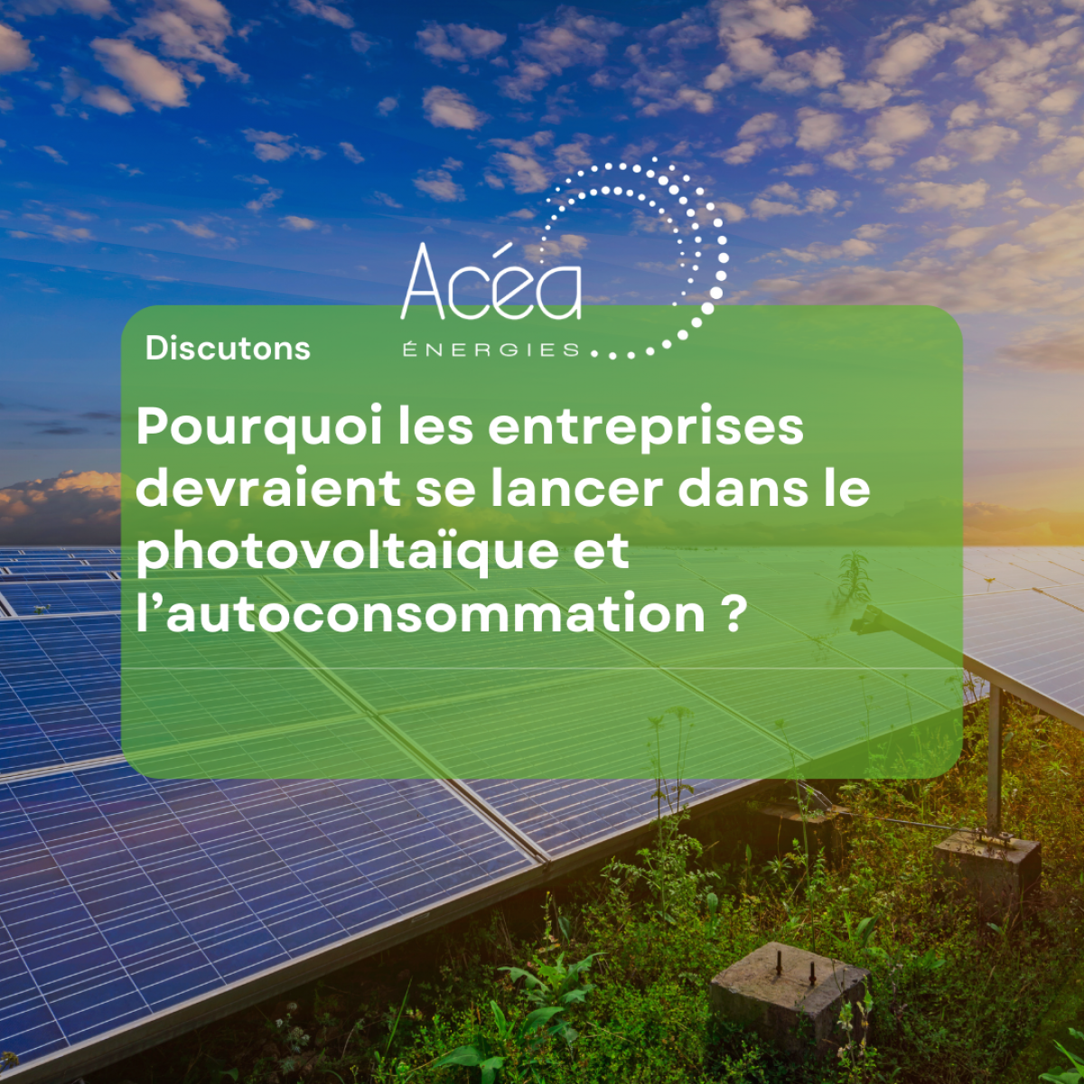 panneau-photovoltaique-2025 meilleur panneau photovoltaïque 2025