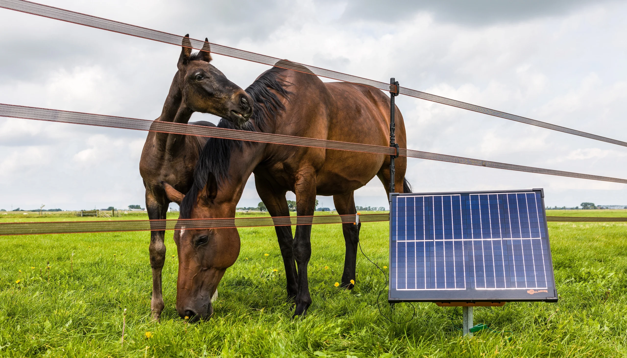 panneau-solaire-cloture-electrique-scaled panneau solaire pour clôture électrique lacme