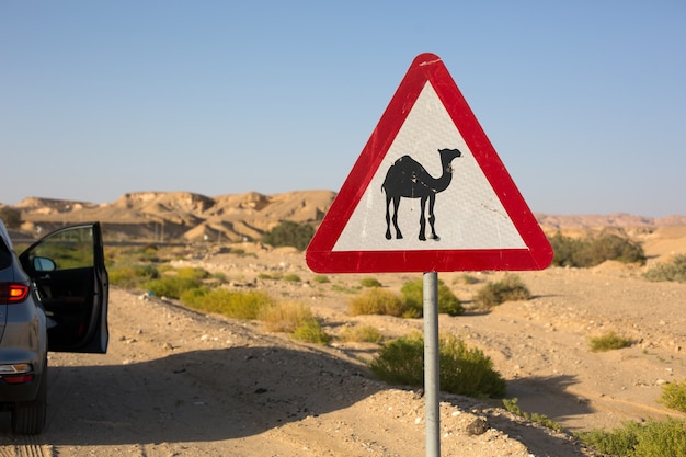 découvrez notre sélection de panneaux désert inspirants, parfaits pour apporter une touche d'originalité à votre espace. explorez des designs uniques qui évoquent la beauté des paysages désertiques, alliant esthétisme et sérénité.