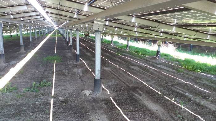 découvrez les avantages des panneaux solaires orientés est-ouest, optimisant la production d'énergie tout au long de la journée. idéaux pour les foyers, ces panneaux maximisent l'exposition au soleil, augmentent votre indépendance énergétique et réduisent votre facture d'électricité. informez-vous sur leurs caractéristiques, leurs performances et comment ils s'adaptent à votre maison.