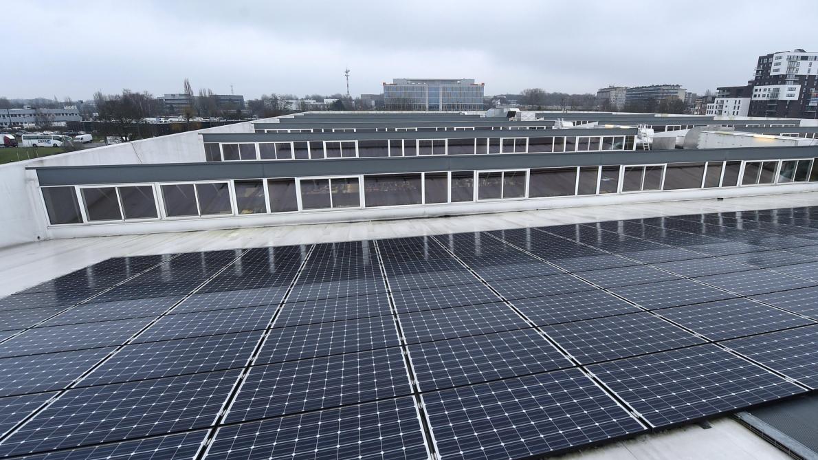 découvrez notre gamme de panneaux solaires decathlon, idéaux pour optimiser votre consommation d'énergie tout en respectant l'environnement. profitez d'une énergie renouvelable et écologique pour vos activités en plein air ou à domicile. faciles à installer et performants, ils sont conçus pour répondre à tous vos besoins énergétiques.