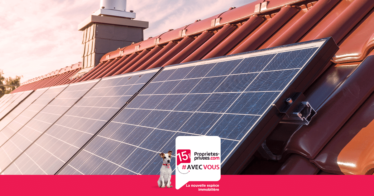 panneaux-solaires-64 Quel type de panneaux solaires choisir : monocristallins ou photovoltaïques ?