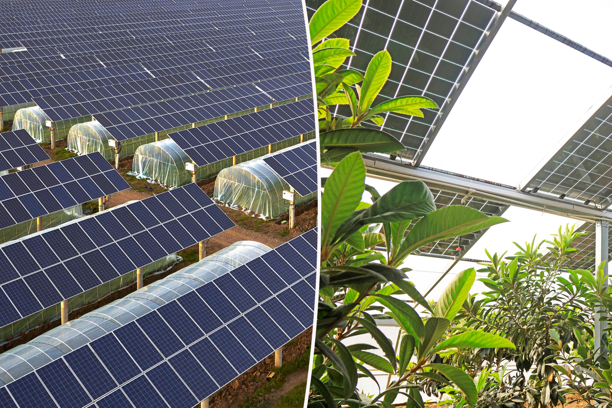 panneaux-solaires-agricoles-10 Panneaux solaires photovoltaïques : une solution durable pour les agriculteurs inc.