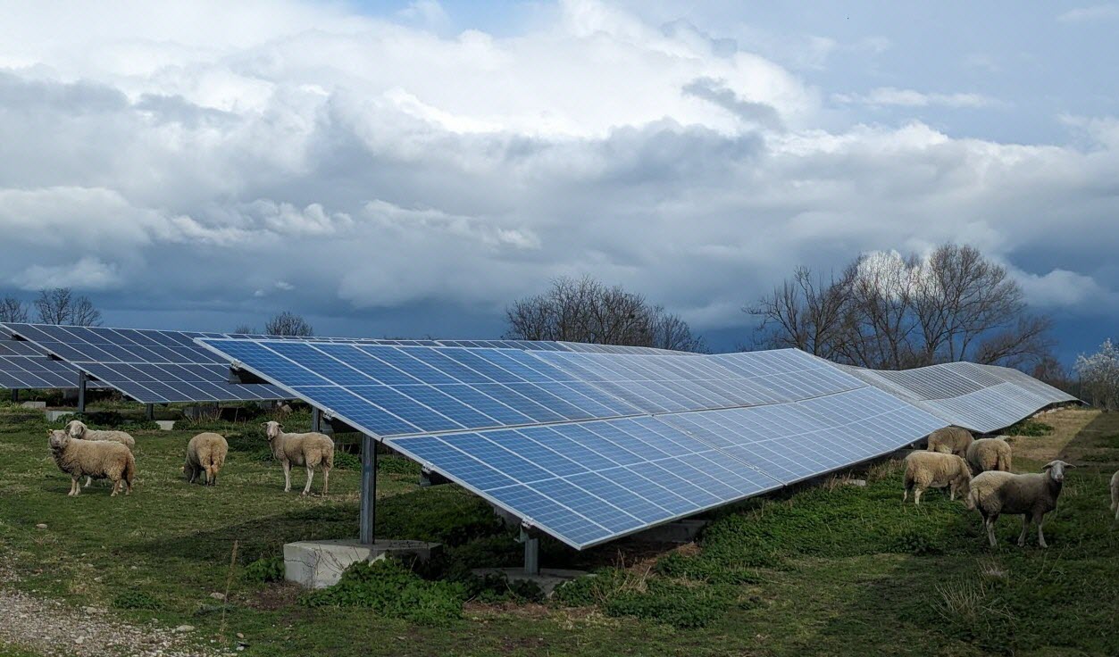 panneaux-solaires-et-developpement-durable Panneaux solaires photovoltaïques : un atout majeur pour le développement durable