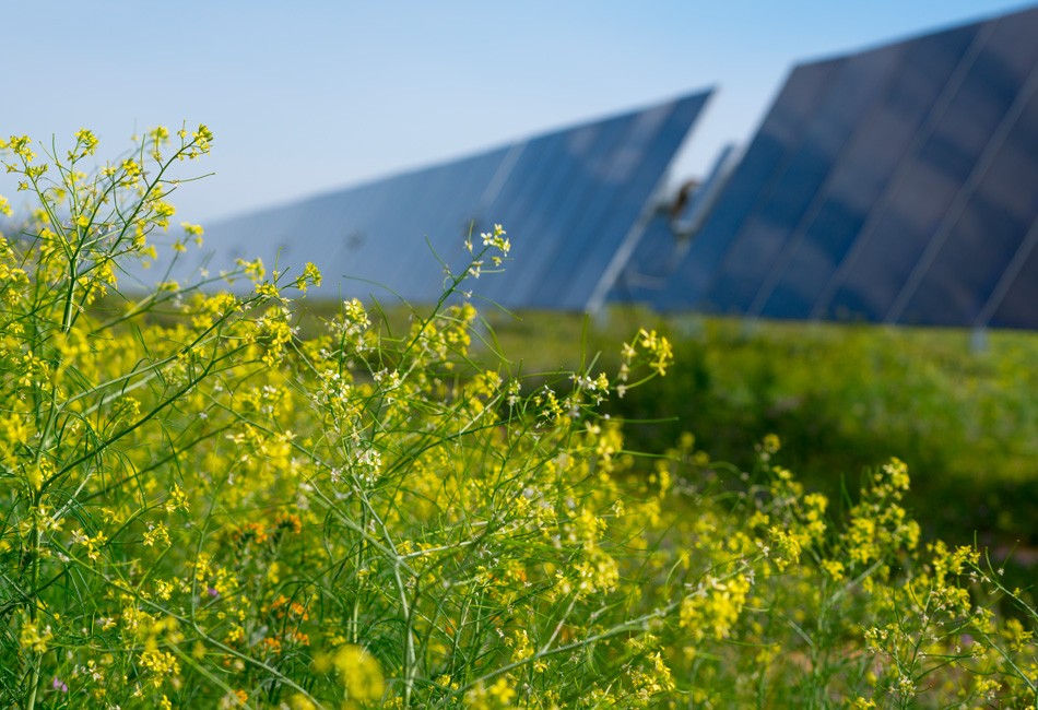 panneaux-solaires-first-solar Découvrez comment les panneaux solaires photovoltaïques First Solar transforment votre énergie