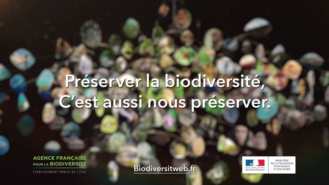 preserver-biodiversite-1 Les gestes simples pour préserver la biodiversité