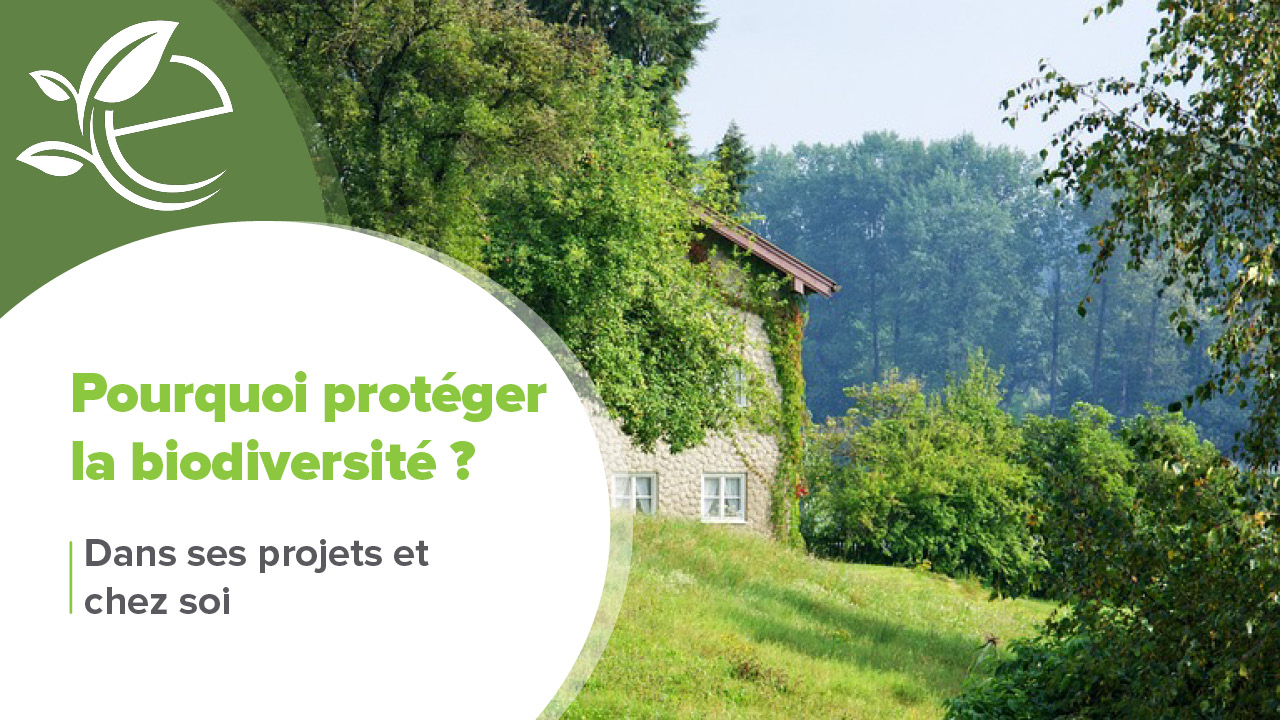 preserver-biodiversite-2 Les gestes simples pour préserver la biodiversité