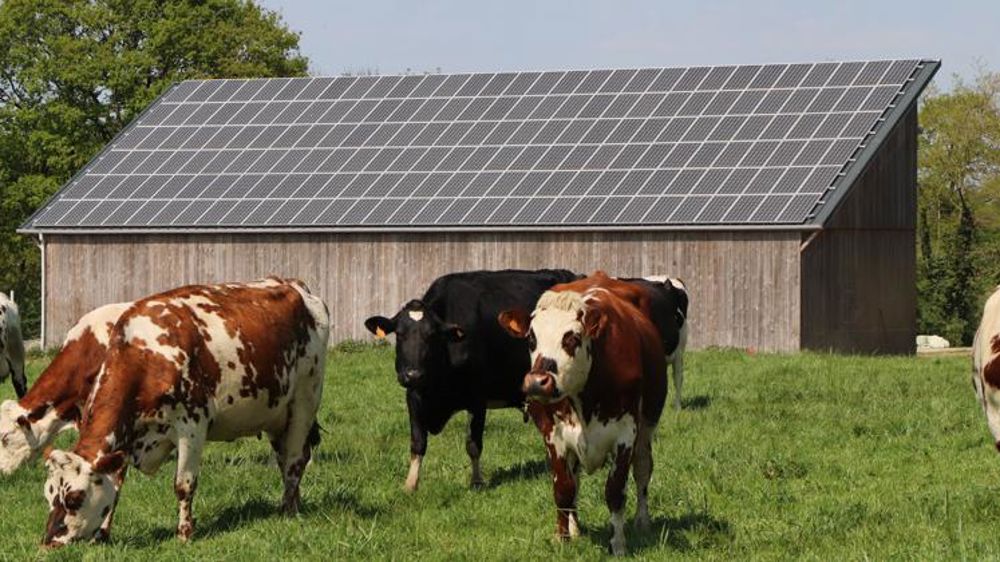 rachat-photovoltaique-3 Le rachat de l'électricité photovoltaïque : tout ce qu'il faut savoir sur les panneaux solaires