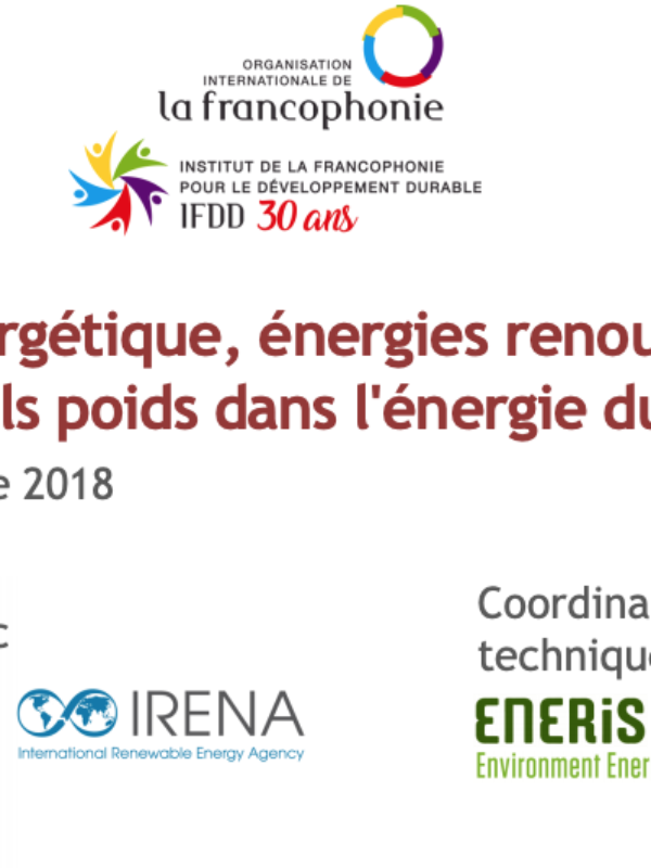 renouvelables-et-developpement-durable Énergies renouvelables : un levier pour le développement durable