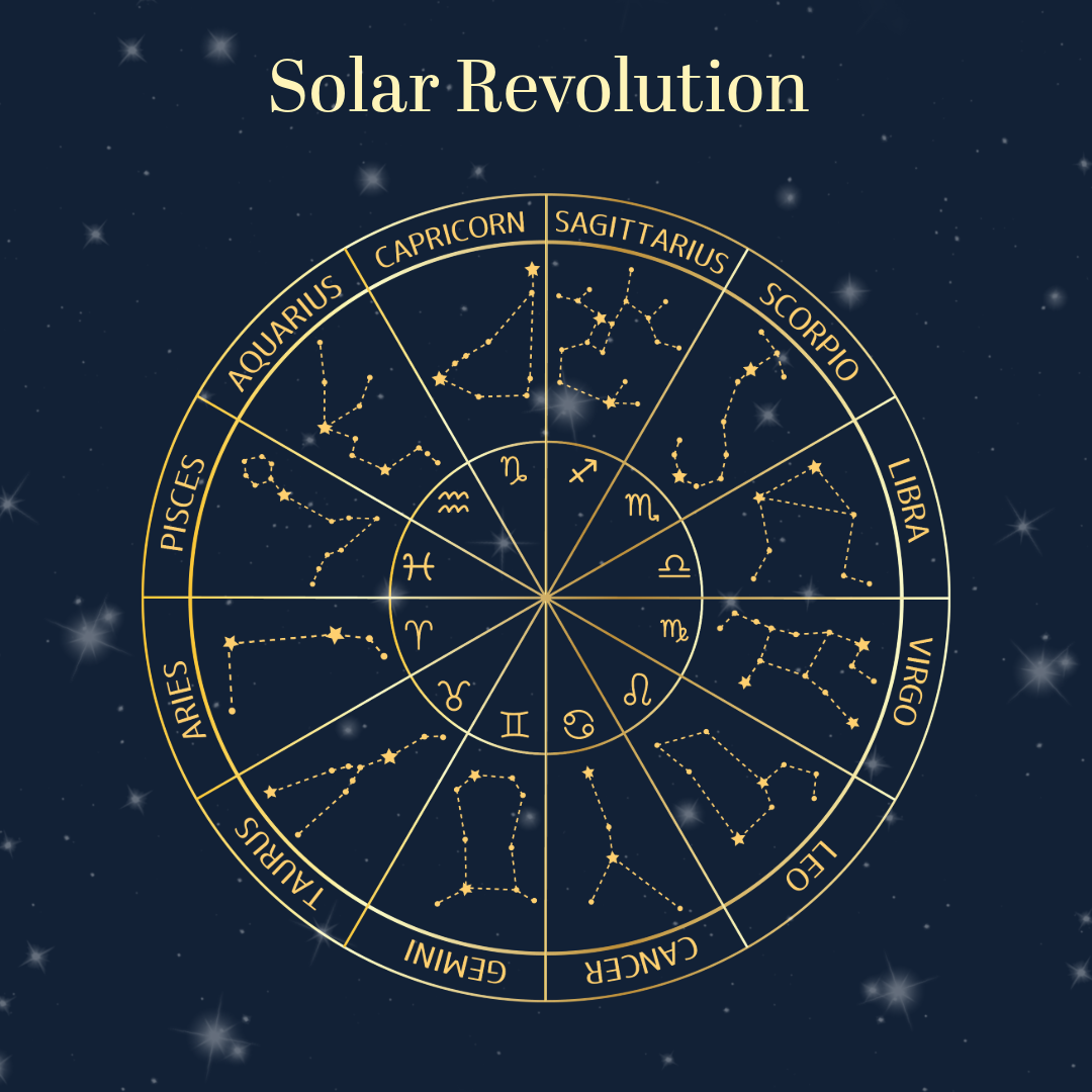 revolution-solaire-france Panneaux solaires photovoltaïques : une révolution énergétique en France