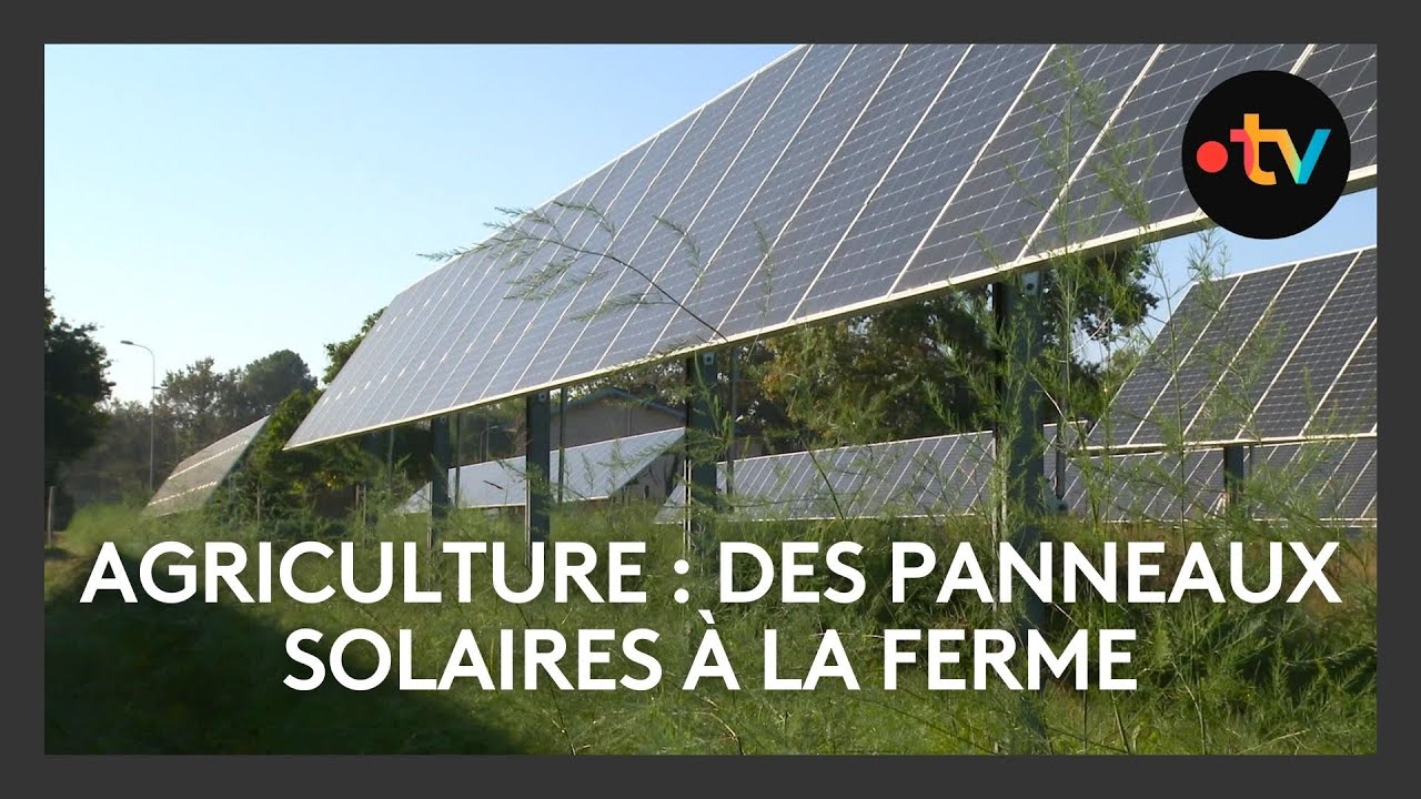 solaire-et-agriculture-2 Énergie solaire : une révolution pour l'agriculture durable