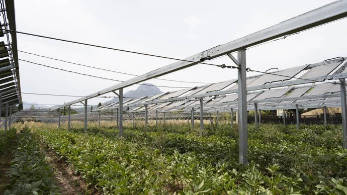 terrain-agricole-pour-photovoltaique-1 location terre agricole pour panneau photovoltaique