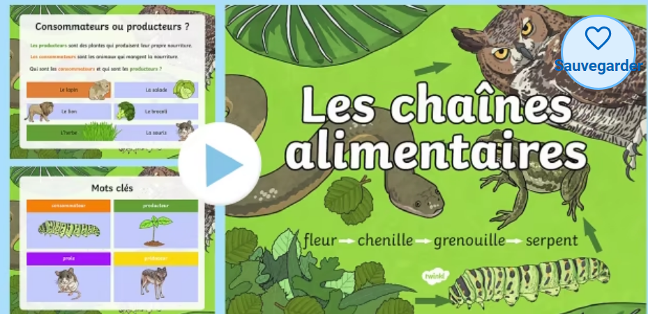 découvrez les secrets de la chaîne alimentaire, un système fascinant qui relie tous les organismes vivants. apprenez comment les producteurs, consommateurs et décomposeurs interagissent dans un équilibre délicat, essentiel à l'écosystème. plongez dans l'univers de la biodiversité et comprenez l'importance de chaque maillon.