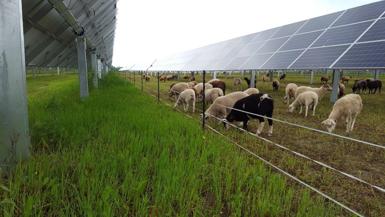 energie-solaire-en-agriculture-1 L'énergie solaire dans l'agriculture : applications et avantages
