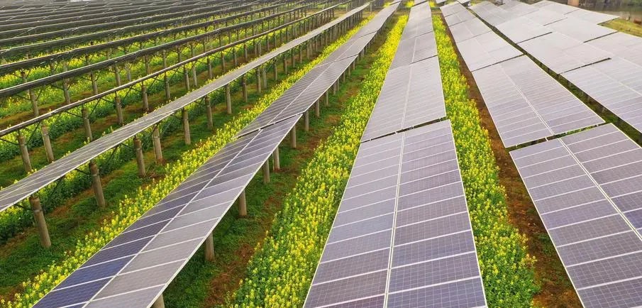 energie-solaire-en-agriculture-3 L'énergie solaire dans l'agriculture : applications et avantages